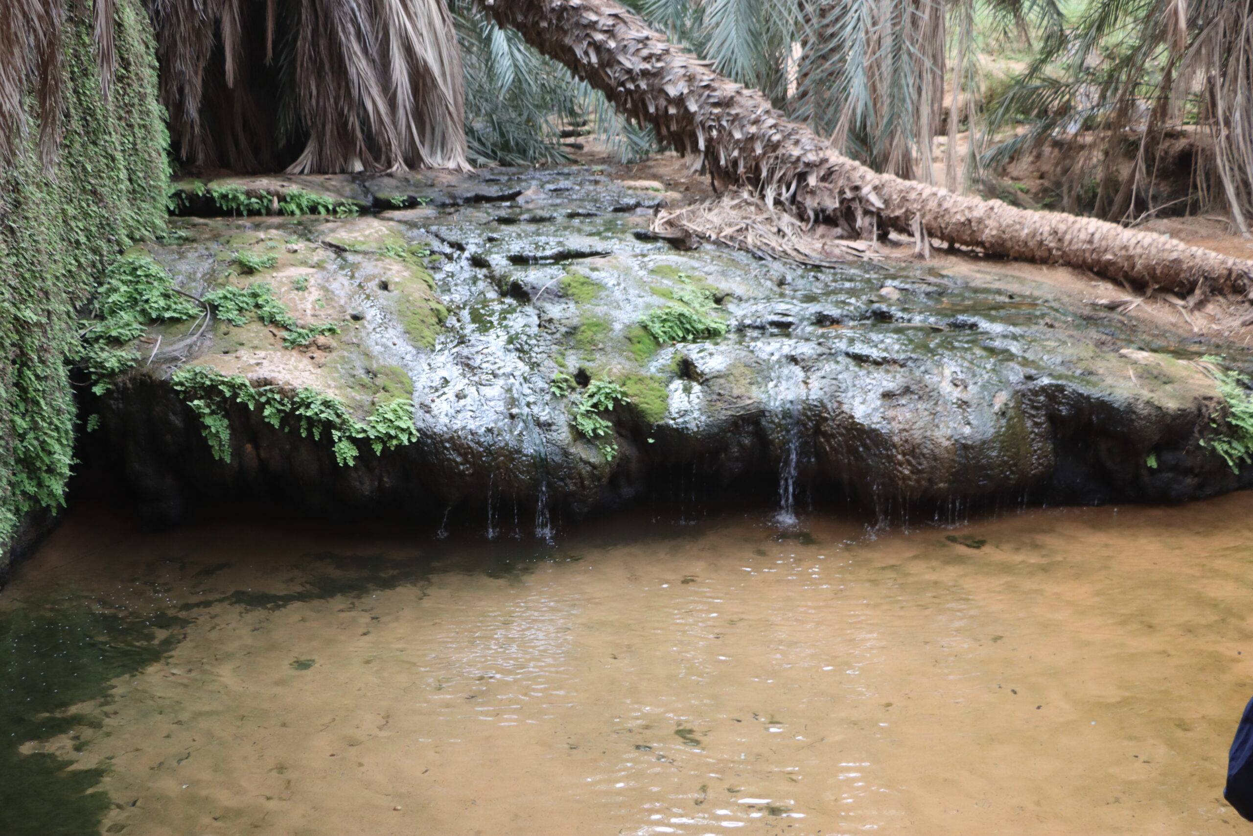 Oasis De Terjit ADRAR MAURITANIE Voyageavecnous