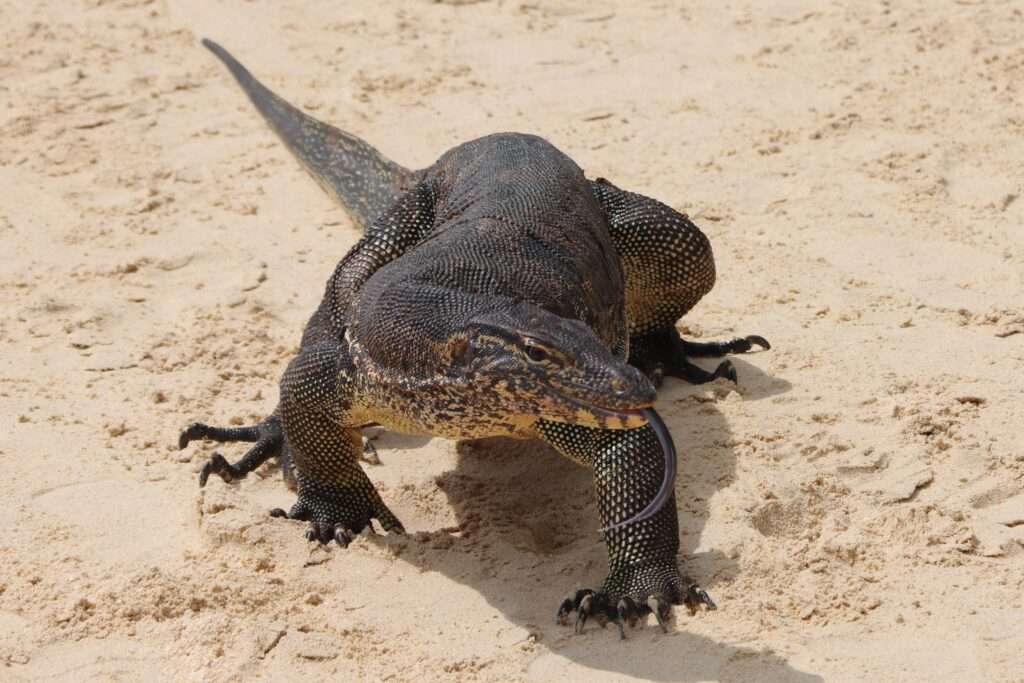 643794124_1458029076028080_3822040037350608522_n