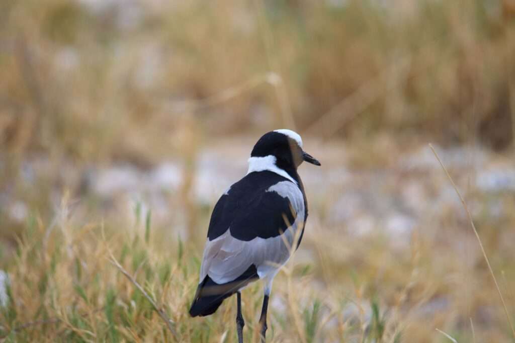 WhatsApp Image 2025-11-08 at 17.06.50