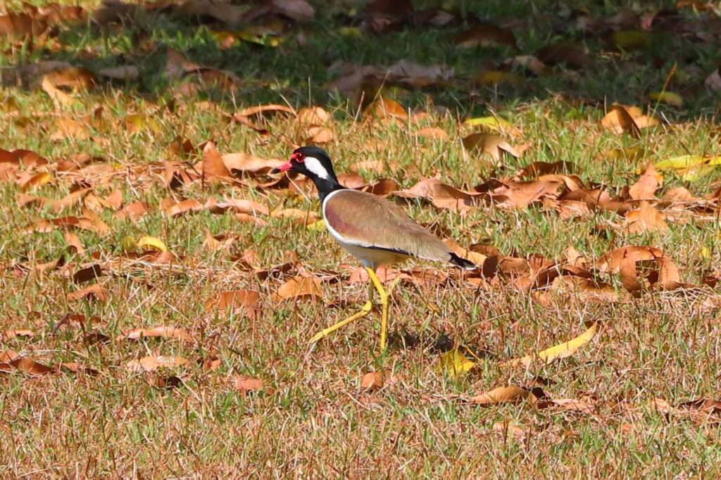 623307251_1431803161984005_1945640576039863872_n