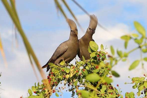 595452398_1390427902788198_1906270511202939511_n