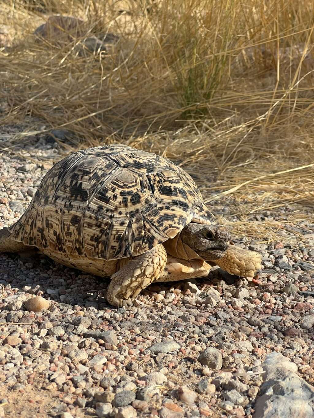 WhatsApp Image 2025-12-04 at 18.36.30