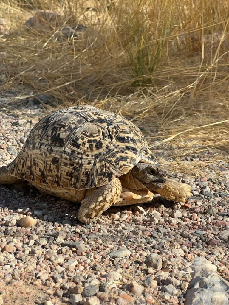 WhatsApp Image 2025-12-04 at 18.36.30