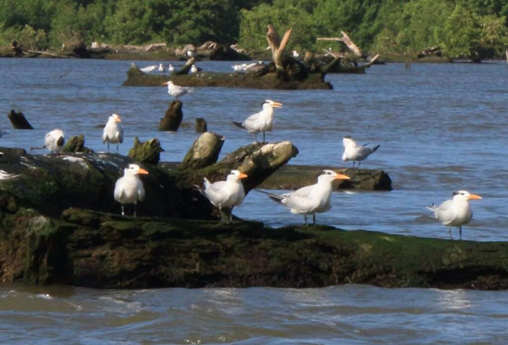 607435285_1411084894055832_4311325829772090762_n