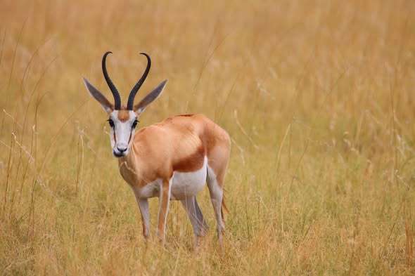 576367451_1366252645205724_1917061621762441419_n