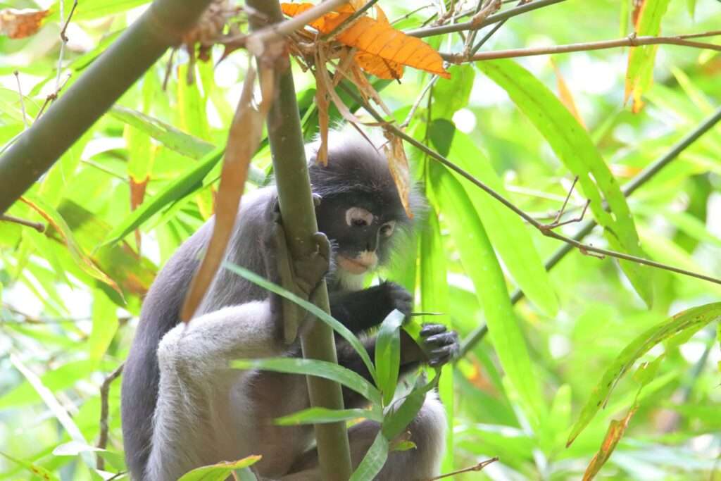 636142148_1448195547099805_4867112046796647652_n