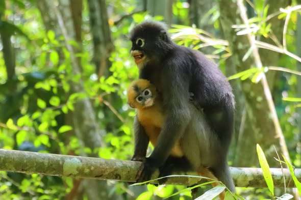 649972236_1466853471812307_6786664850552812442_n (1)