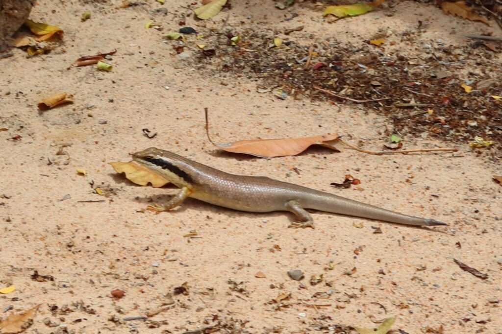 WhatsApp Image 2025-11-07 at 18.15.12 (9)