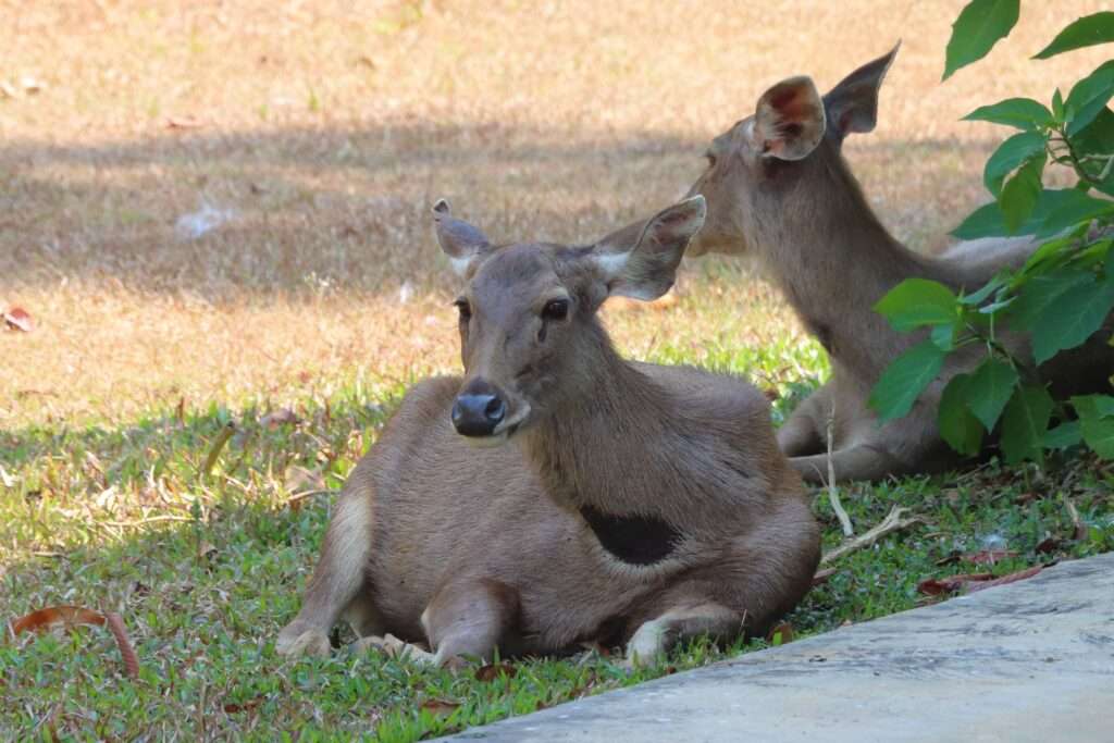 637774486_1447356900428631_1219368907853520579_n