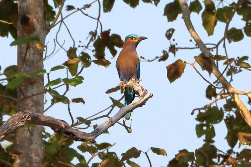 622359198_1431790298651958_6506092150348980907_n