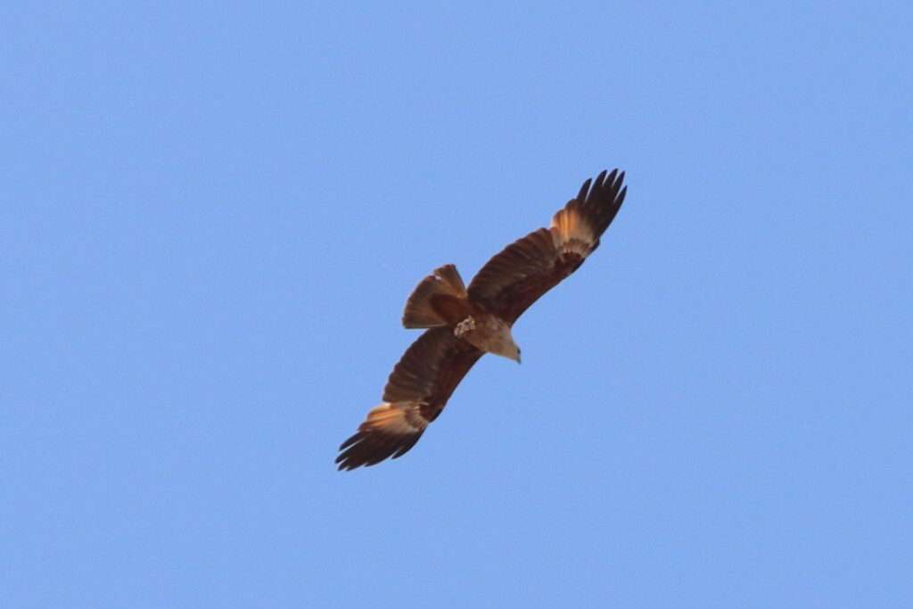 648353779_1462713465559641_5554389598097850444_n