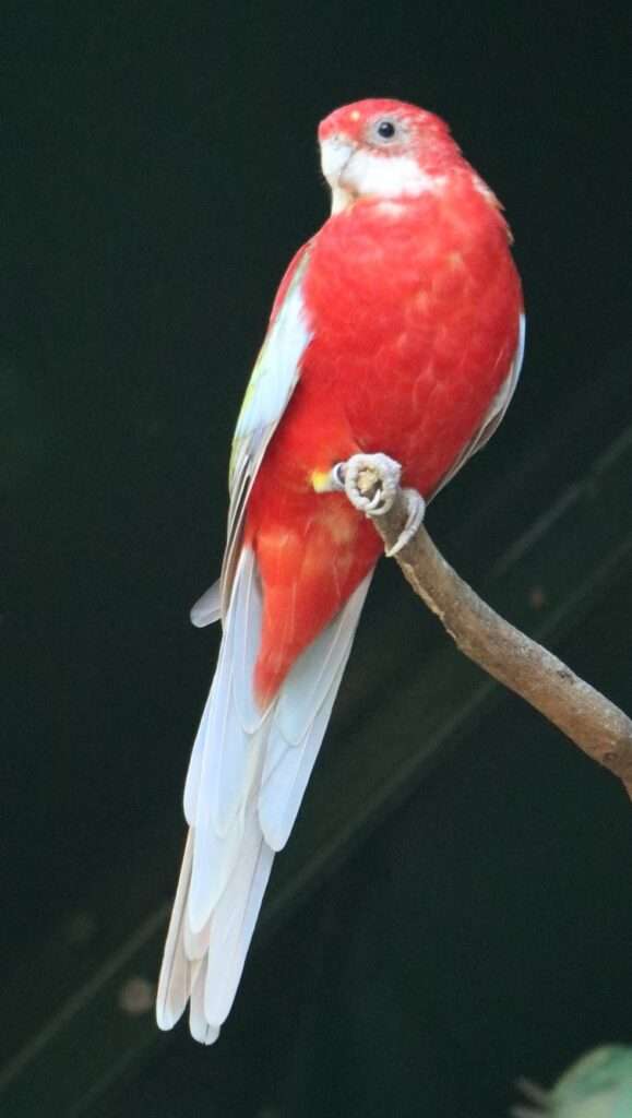 616633616_122276721116220392_3603093466935002994_n