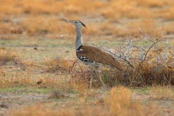 577790323_1368563154974673_4293557199022580000_n