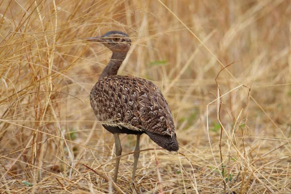 WhatsApp Image 2025-11-06 at 12.34.38