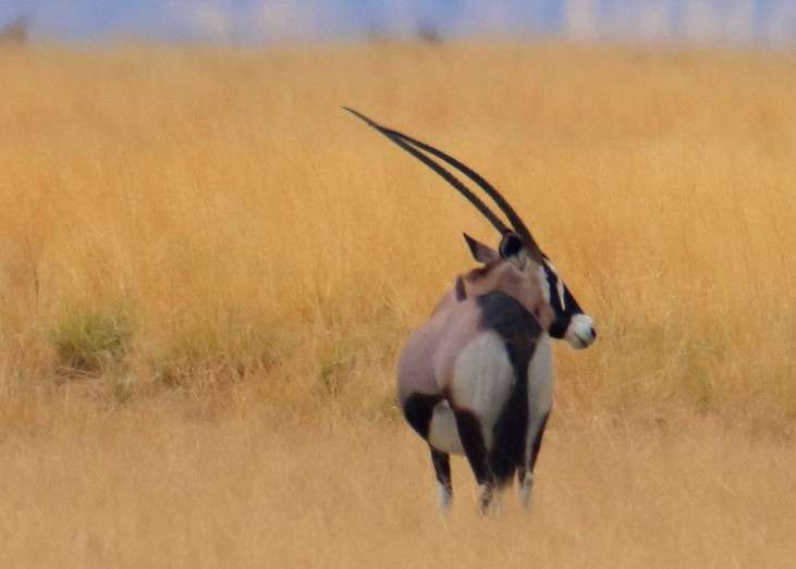 559144138_1368424038321918_6369994591507700386_n