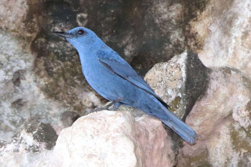 646208571_1461572822340372_3927257568826081297_n