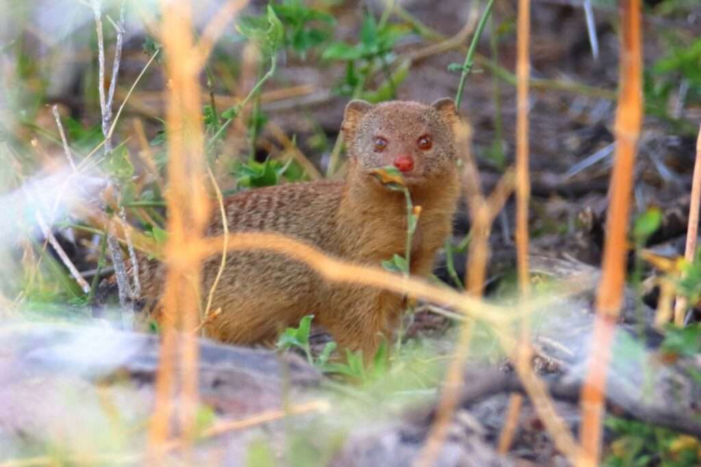 WhatsApp Image 2025-11-08 at 16.49.29 (4)