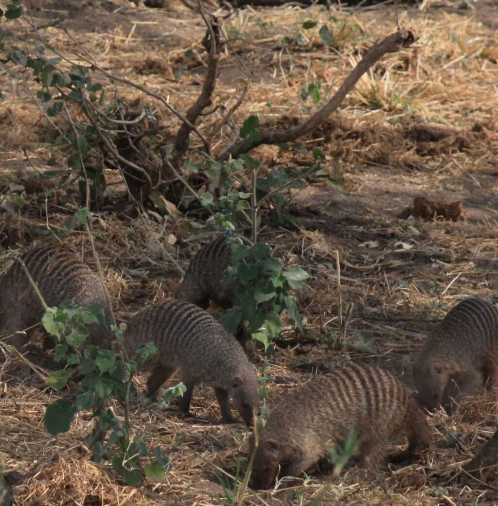 547428637_1324861922678130_6250696839226076113_n