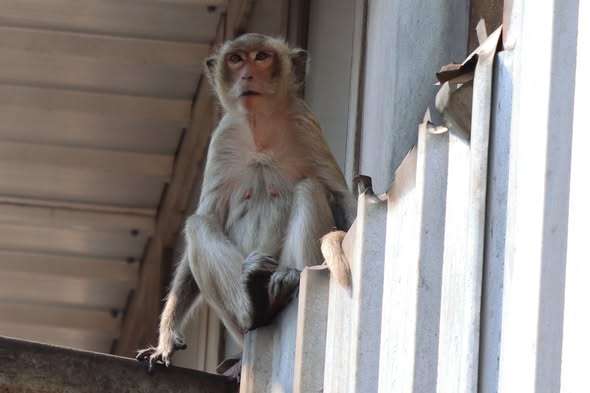 634446230_1446498410514480_1225083733175559971_n