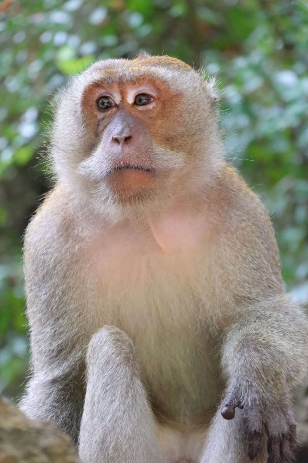 644371546_1458024672695187_3539998975438399466_n