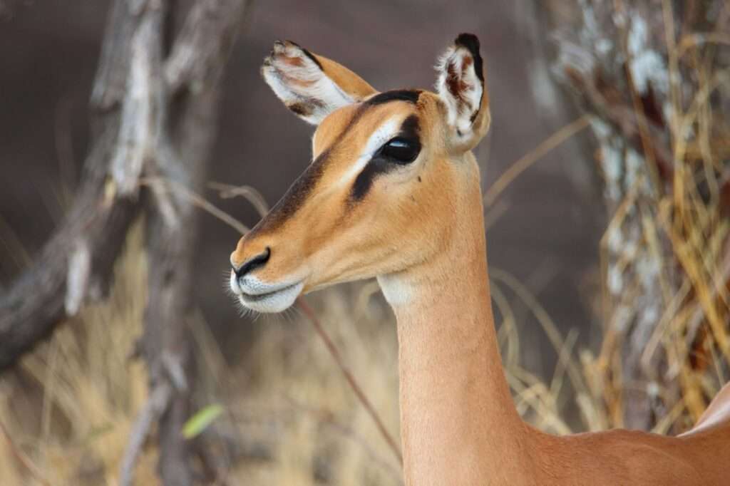 WhatsApp Image 2025-11-07 at 20.55.08 (5)