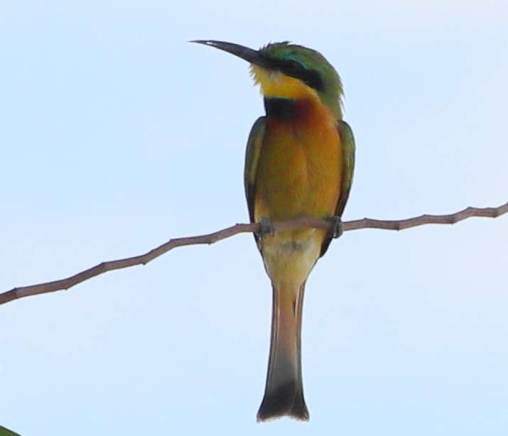 20251108 OKAPIKA CAMP RUACANA NAMIBIE (2)