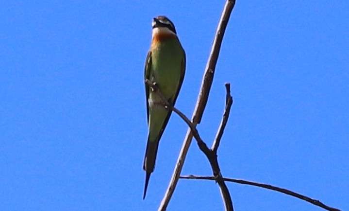 WhatsApp Image 2025-11-12 at 06.54.52 (7)