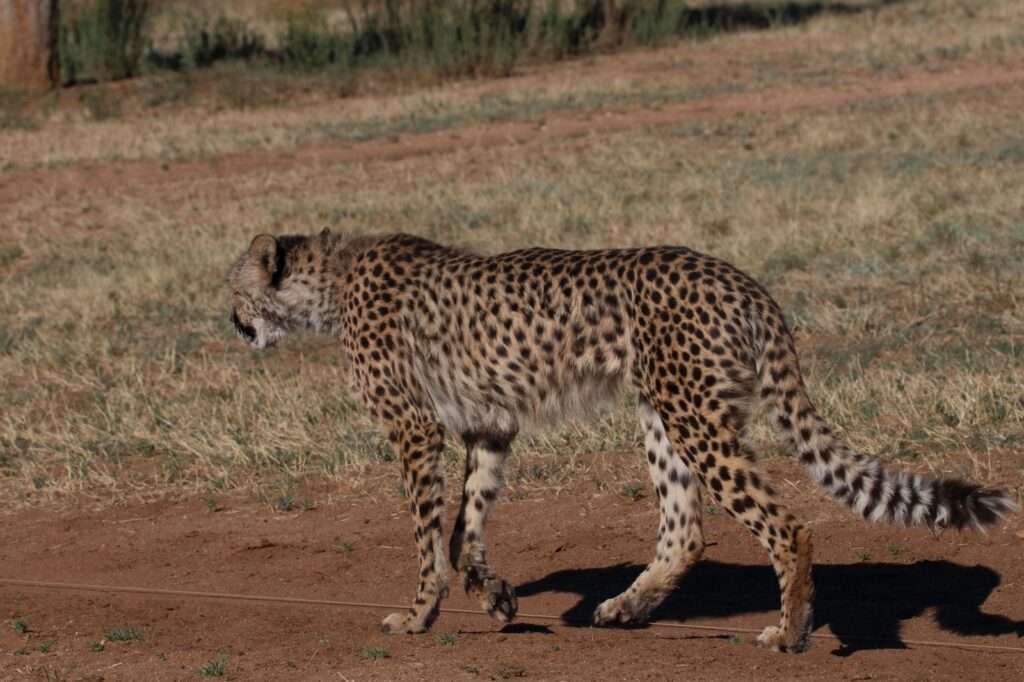 WhatsApp Image 2025-11-23 at 17.34.21 (1)