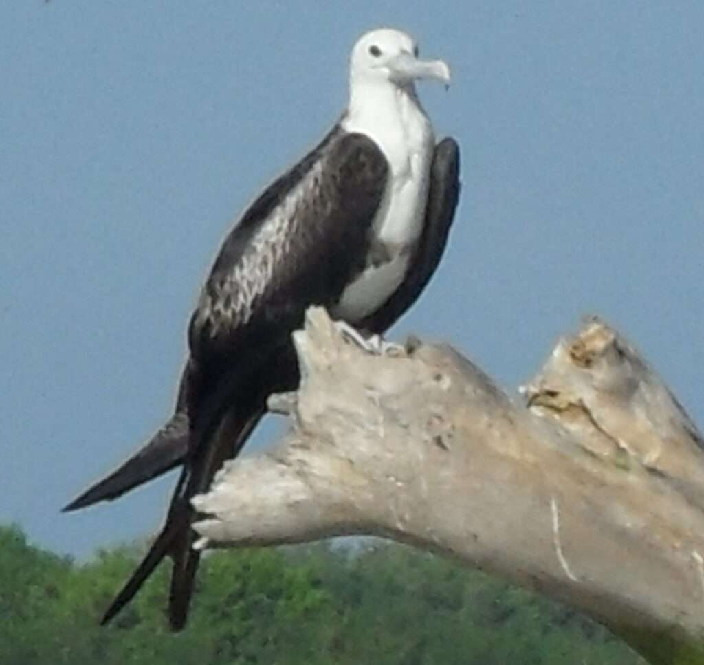 611027250_1411185060712482_3967537249447283418_n