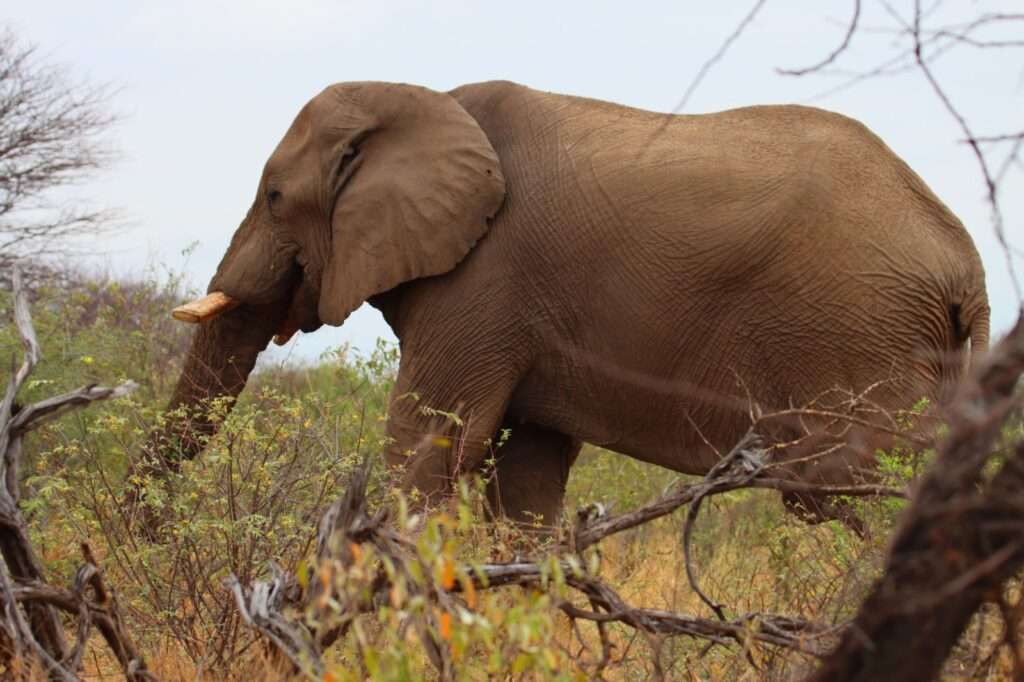 WhatsApp Image 2025-11-06 at 19.07.03 (2)