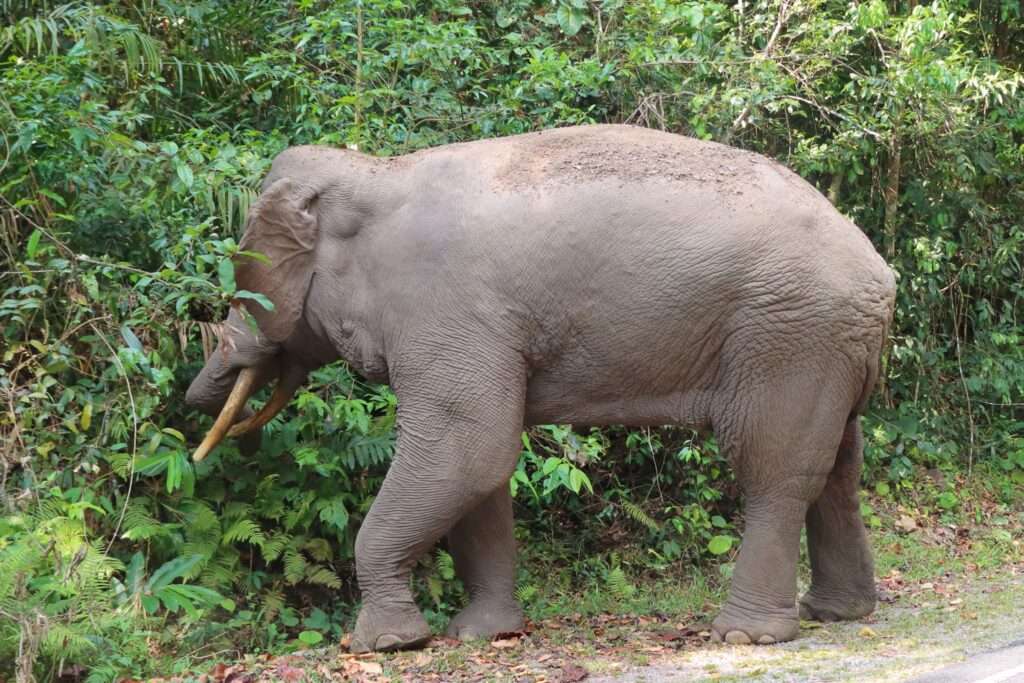 634911022_1447713547059633_3674879581652584980_n