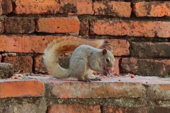 634785041_1447217113775943_1385488279337618640_n