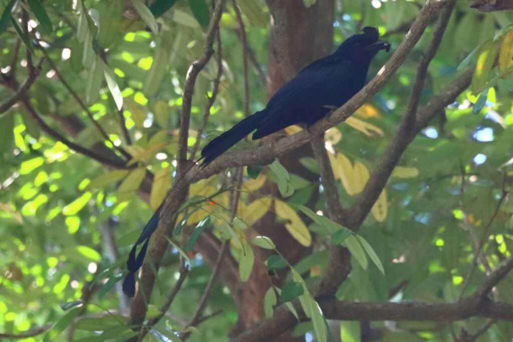 626324239_1435756905010336_2777269637640490857_n