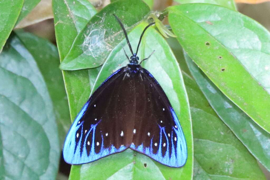 634025312_1447911193706535_8254412019559767651_n