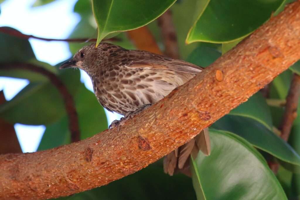 684895291_1506770251153962_7834807746540046268_n