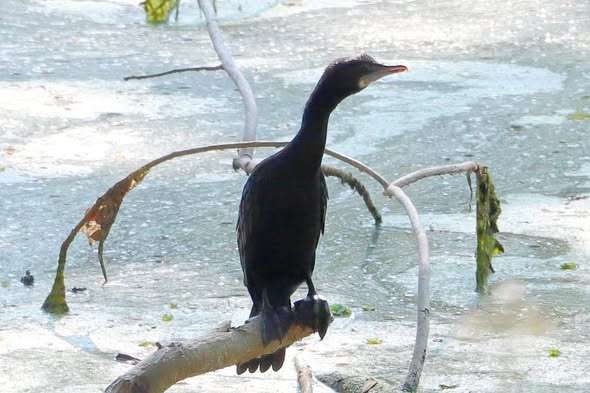 623853141_1433460801818241_3303455406023597016_n