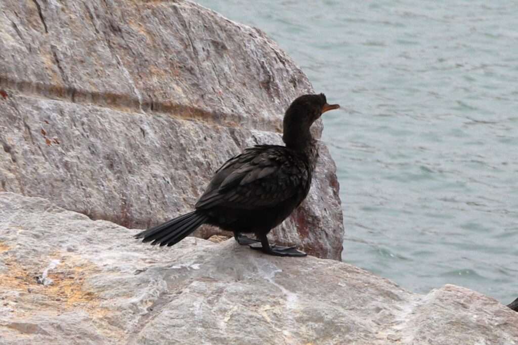 WhatsApp Image 2025-11-28 at 17.42.42