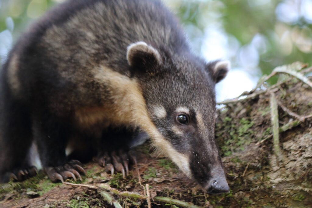 WhatsApp Image 2025-12-26 at 07.12.46 (2)