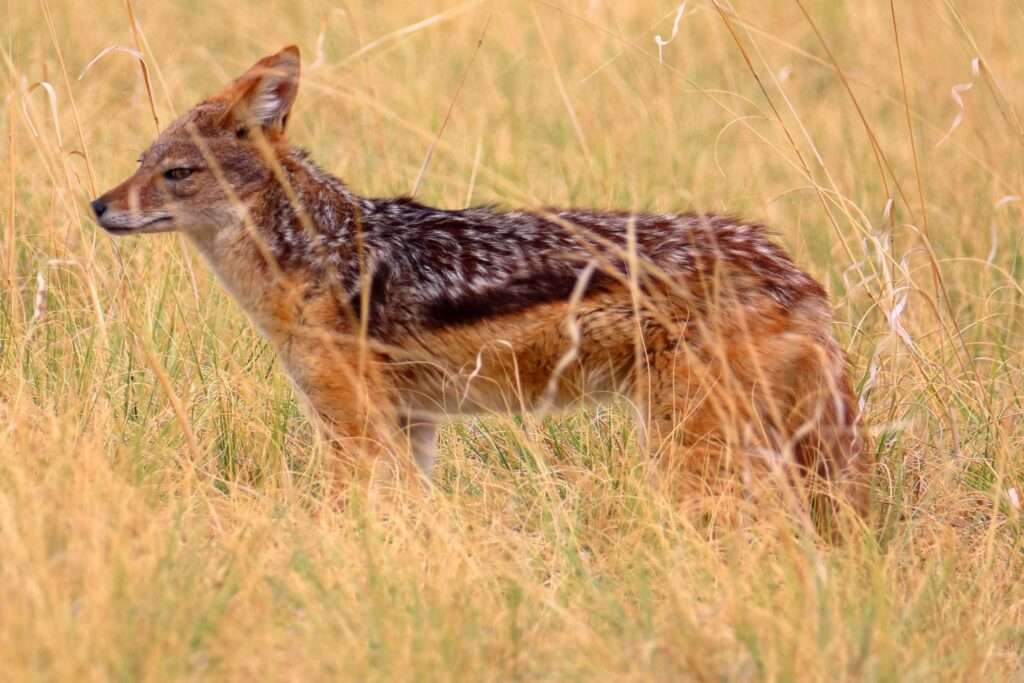 577613508_1366622295168759_4251809776027855539_n