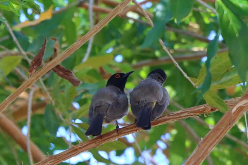 WhatsApp Image 2025-11-12 at 16.01.63