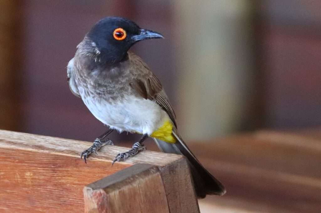 WhatsApp Image 2025-11-14 at 10.36.52 (4)