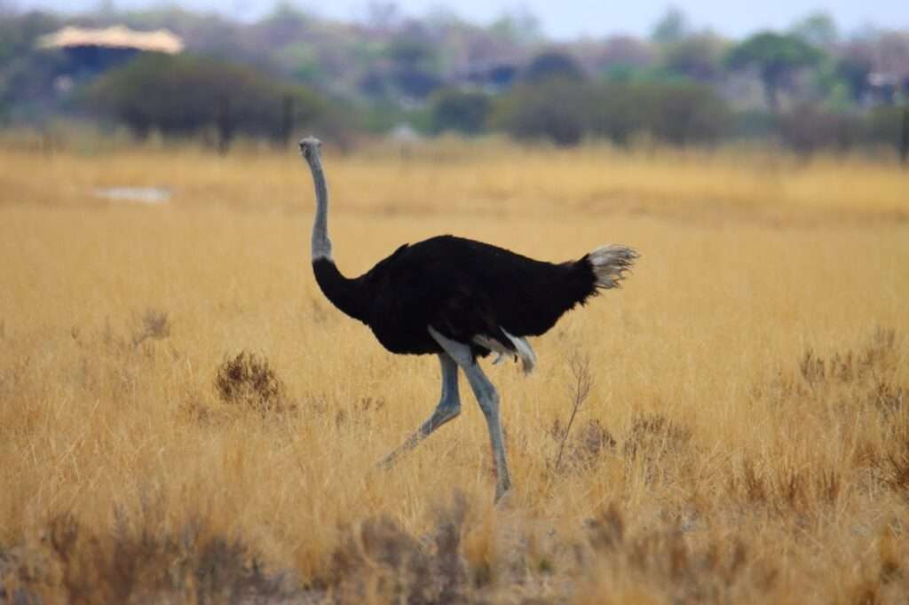 WhatsApp Image 2025-11-08 at 15.33.54 (8)