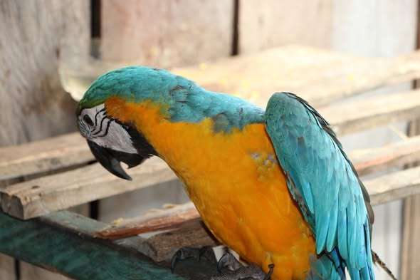 605718393_1406717834492538_5810941590023956052_n