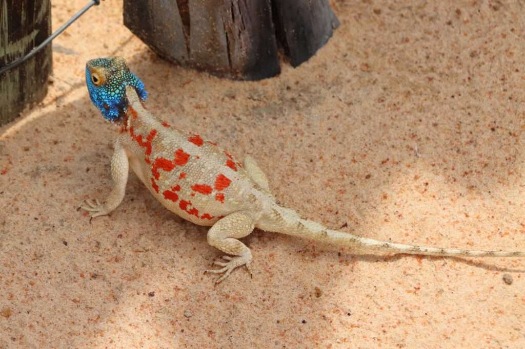 WhatsApp Image 2025-11-07 at 18.15.12 (1)