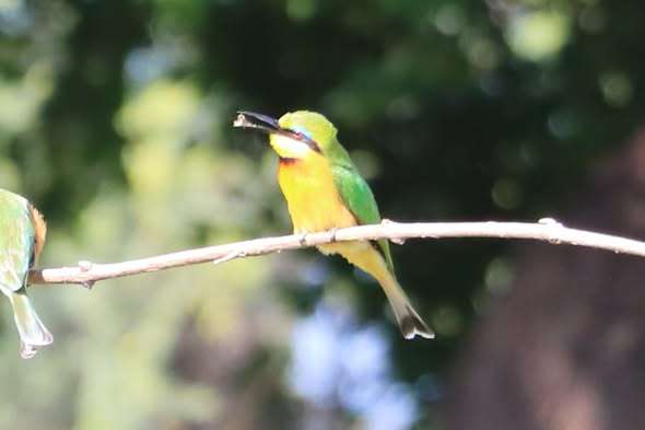okavango (1)