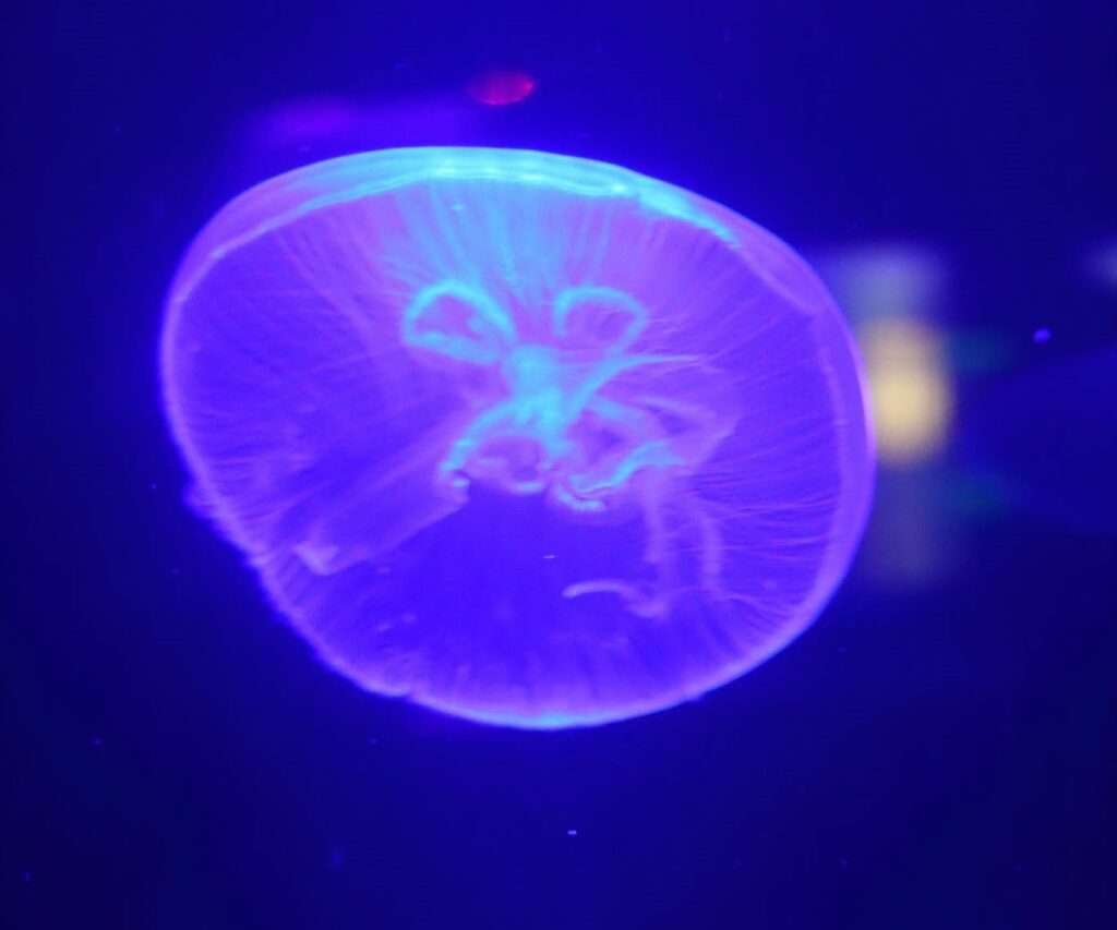 748481035_1573011731284852_4908973831114350238_n