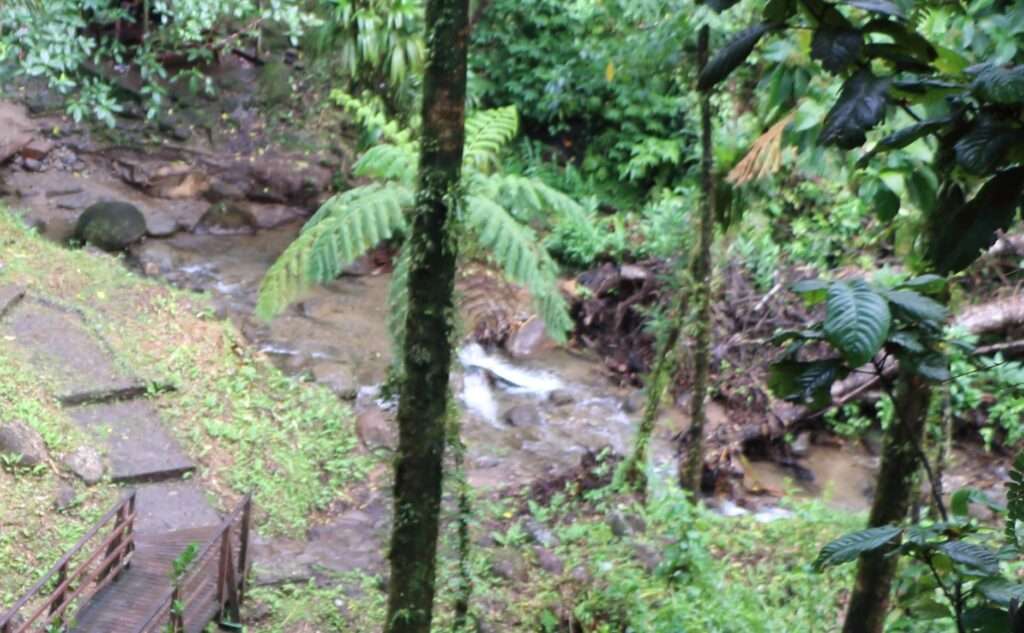 20171227 LE SAUT DU GENDARME. ROUTE DE LA TRACE MARTINIQUE (0)