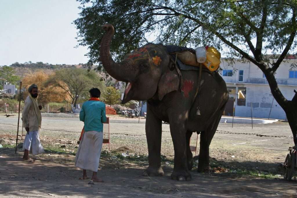 513502096_122240708882220392_4023114217484646289_n