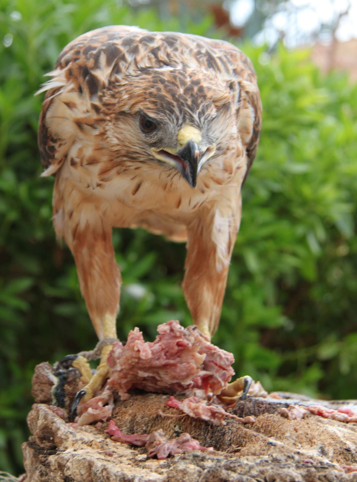 Gabès, entre mer et palmeraie : une oasis à découvrir TUNISIE ...