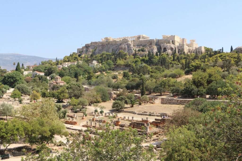 WhatsApp Image 2025-12-17 at 18.28.51 (8)